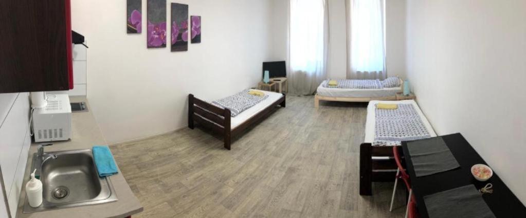 Apartments Near The Center With Privat Parking Бърно Екстериор снимка